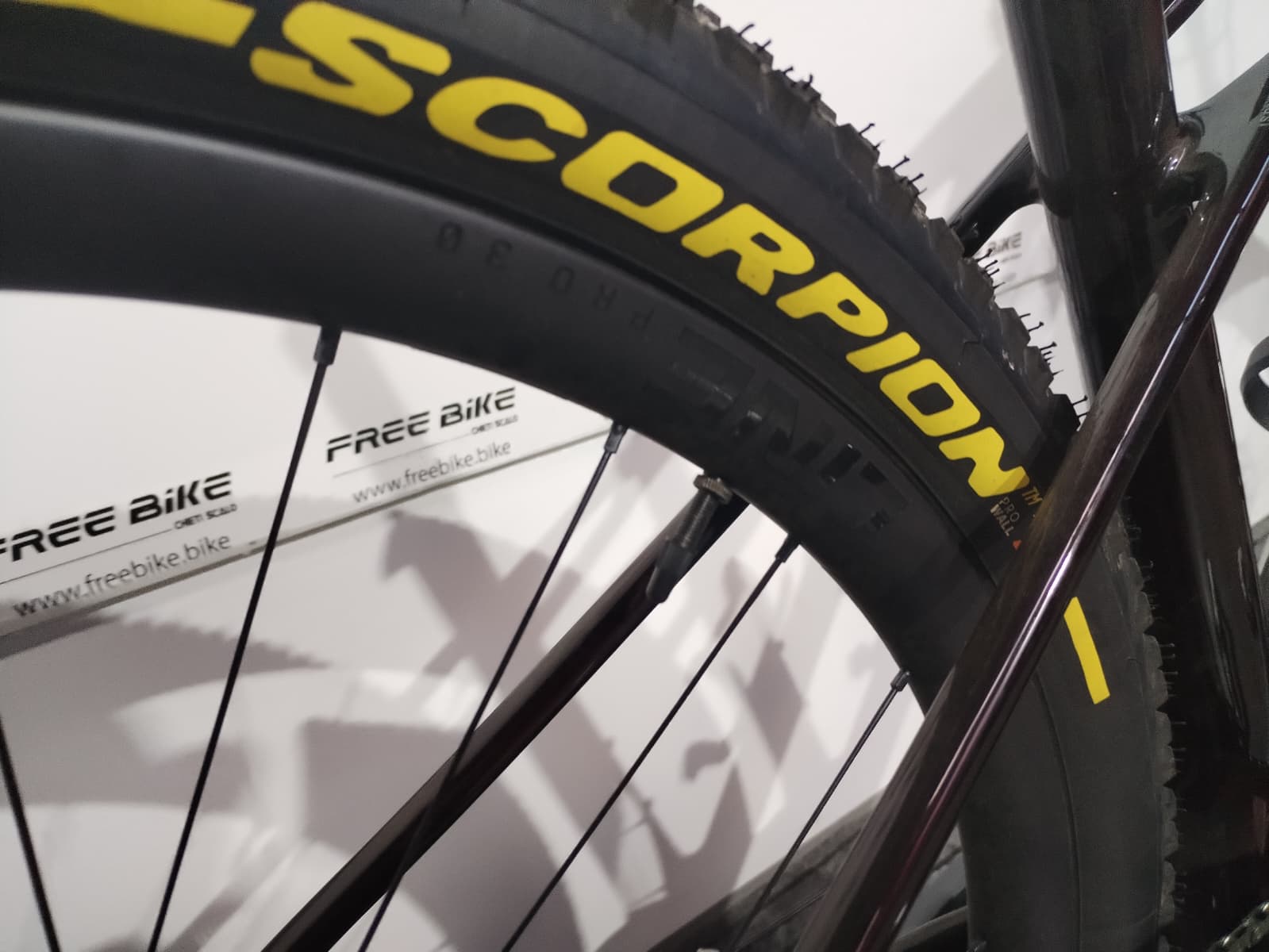 MTB carbonio Trek Procaliber 9.7 AXS - M - immagine 4